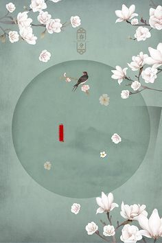 蘑菇gm2视频